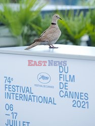 Cannes 2021 - wokół festiwalu