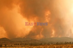 Pożary w Kalifornii