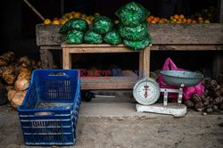 Uprawa liści koki w Peru - AFP