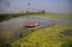 Zanieczyszczone jezioro Dal