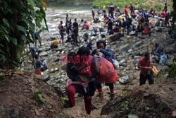 Migranci z Haiti przedzierają się przez kolumbijską dżunglę - AFP