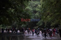 Migranci z Haiti przedzierają się przez kolumbijską dżunglę - AFP