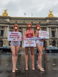 Protest PETA przed operą w Paryżu