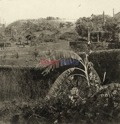 Design Pics/Historical RM Images