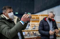 Targi gołębi w Katowicach - AFP