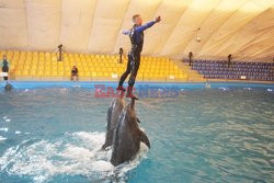 Delfinarium „Nemo” w Odessie