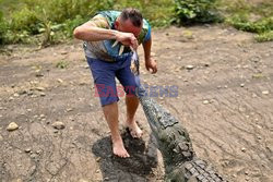 Safari z krokodylami w Kostaryce - AFP