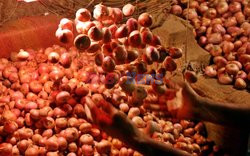 Handel cebulą na targu w Dhace