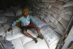 Indie zatrzymują eksport pszenicy