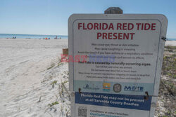 Badanie toksycznych alg na Florydzie