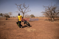 Piaszczyste pole golfowe w Burkina Faso
