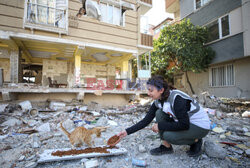 Dokarmianie zwierząt domowych ocalałych z trzęsienia ziemi