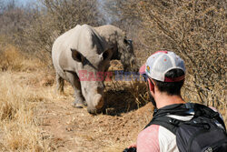 Fotograf i nosorożce