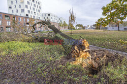 Orkan Ciaran uderza w Europę