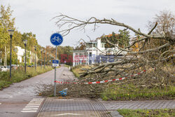 Orkan Ciaran uderza w Europę