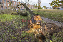 Orkan Ciaran uderza w Europę
