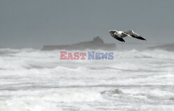 Orkan Ciaran uderza w Europę