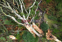 Orkan Ciaran uderza w Europę