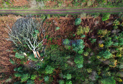 Orkan Ciaran uderza w Europę