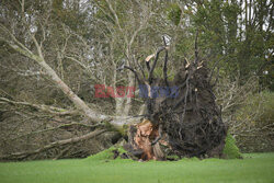 Orkan Ciaran uderza w Europę