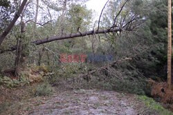 Orkan Ciaran uderza w Europę