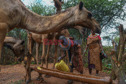 Kenijskie plemię Samburu - Abaca