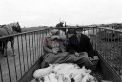 Reporter Poland 2002