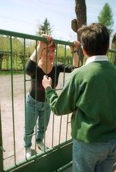 Reporter Poland 2003