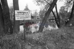 Fotonova 2006
