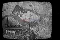 Fotonova 2006