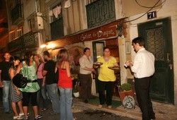 Fotonova 2008