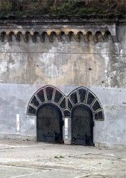 Fotonova 2008