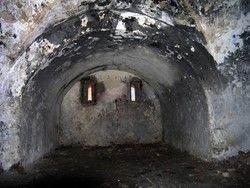 Fotonova 2008