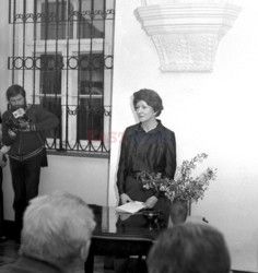 Reporter Braki