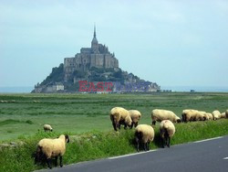 Francja - Mont Saint Michel - Le Figaro