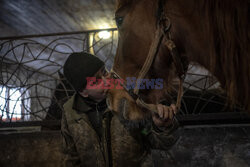 Opieka nad rannymi końmi w Charkowie