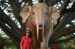 Słonie wykonane z lantany pospolitej
