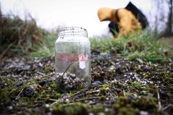 Ziemia zanieczyszczona mikrogranulkami plastiku w Belgii