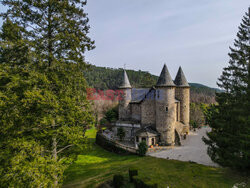 XVI-wieczny zamek na sprzedaż