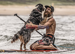 Mistrzostwa psich surferów w Australii