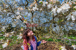 Festiwal kwitnących drzew w Londynie