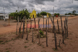 Farma wiatrowa w Brazylii - Agence Vu