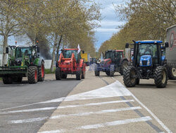 Francuscy rolnicy blokują Prodis