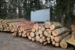 Billbordy w polskich lasach
