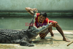 Zaklinacz krokodyli