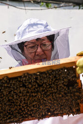 Pszczelarze z Tajpej