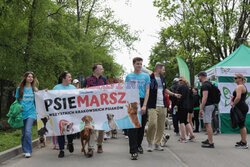 Psiemarsz z Łukaszem Gibałą w Krakowie