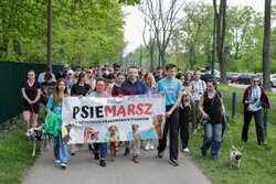 Psiemarsz z Łukaszem Gibałą w Krakowie