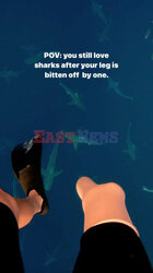 Stracił nogę fotografując rekiny