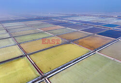 Solna farma w Chinach